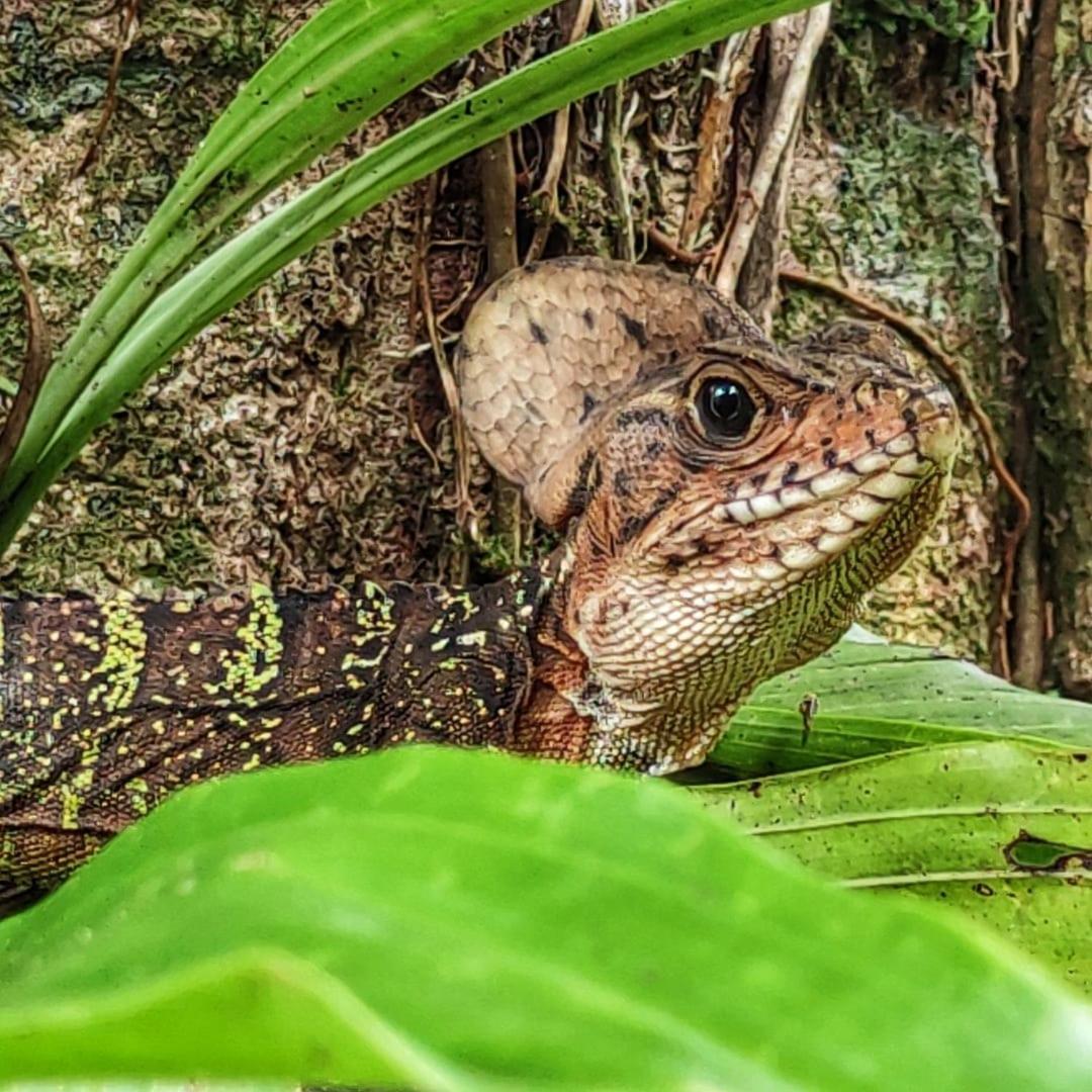 El Valle El Almejalヴィラ エクステリア 写真