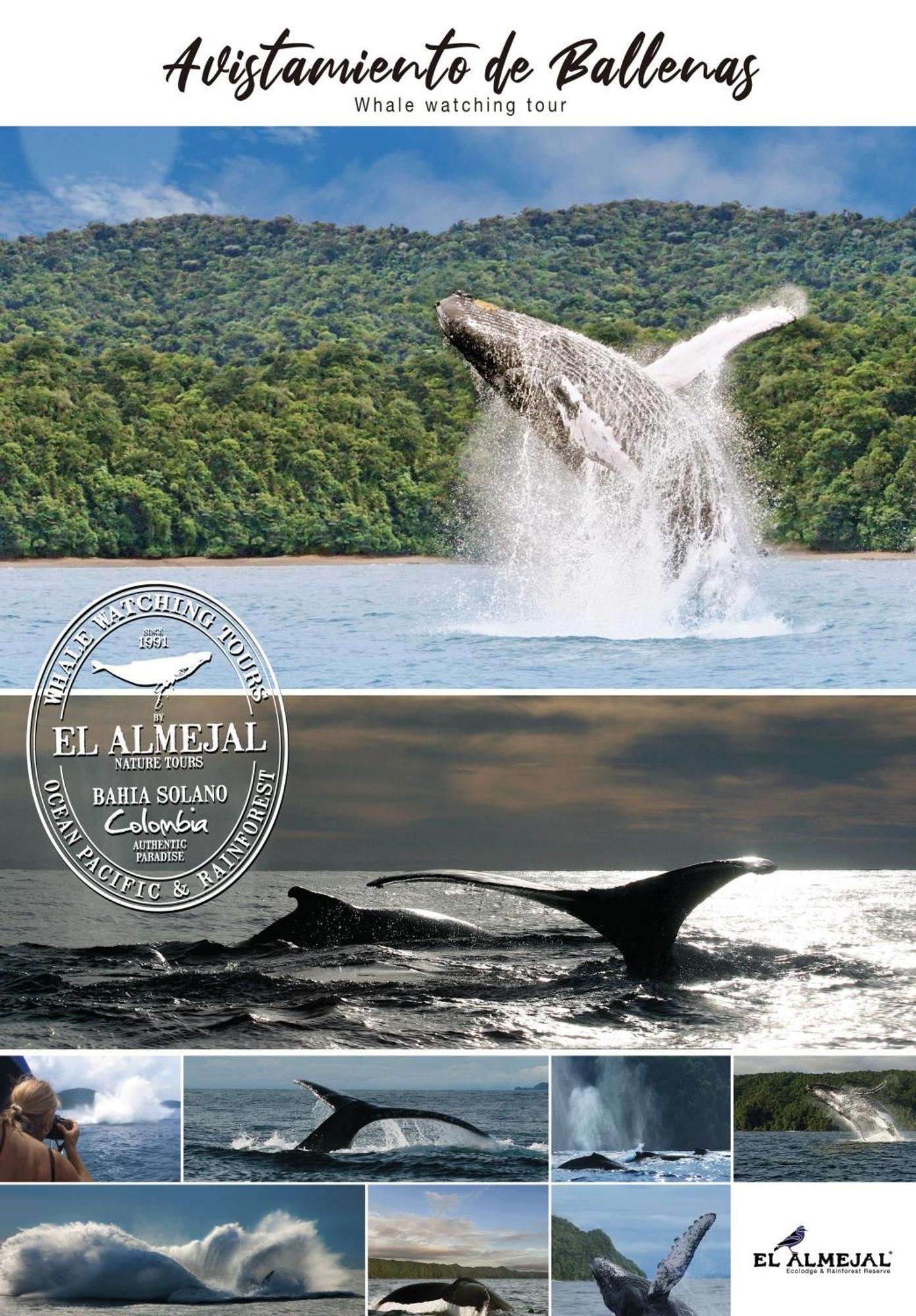El Valle El Almejalヴィラ エクステリア 写真