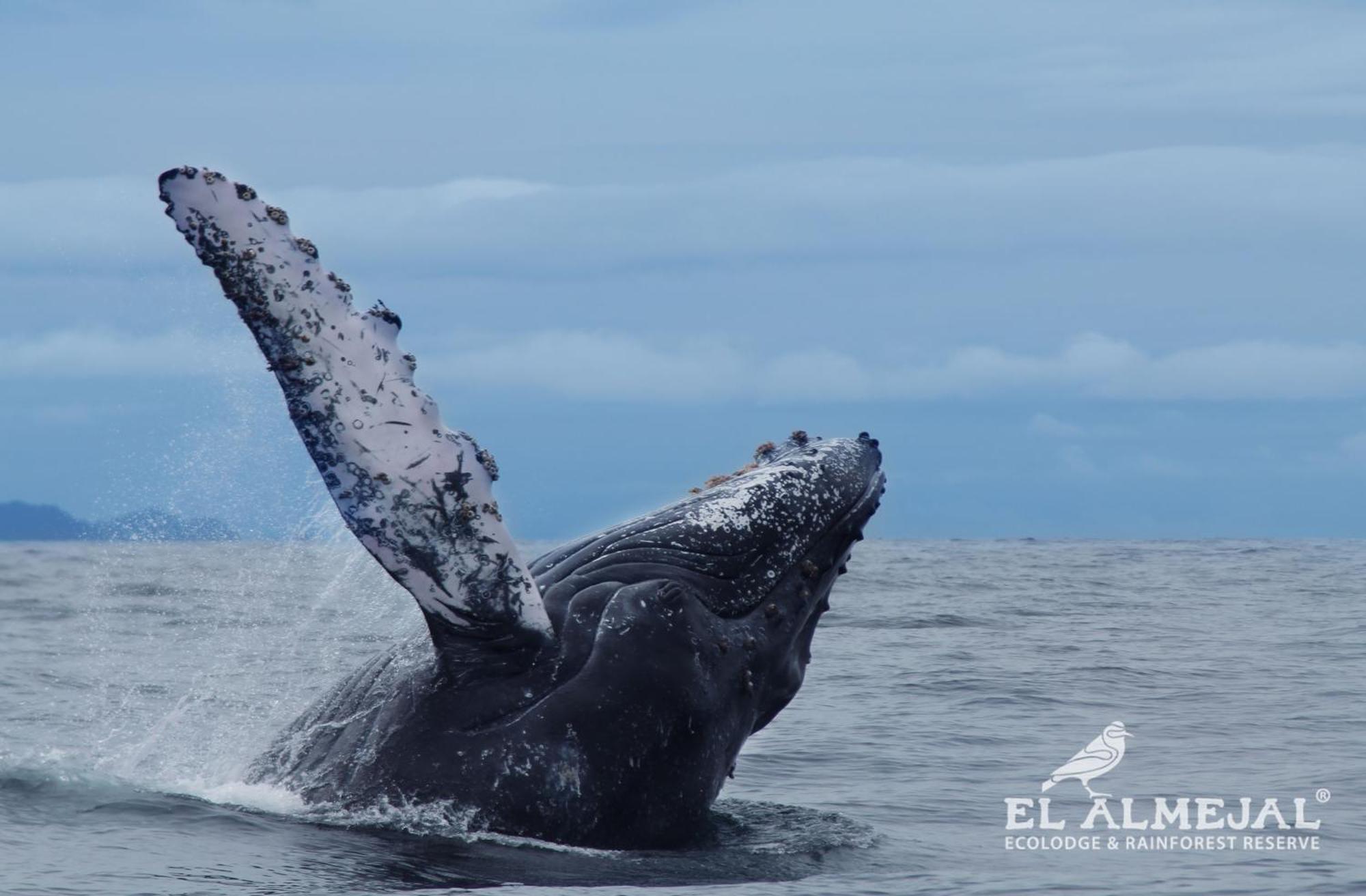 El Valle El Almejalヴィラ エクステリア 写真
