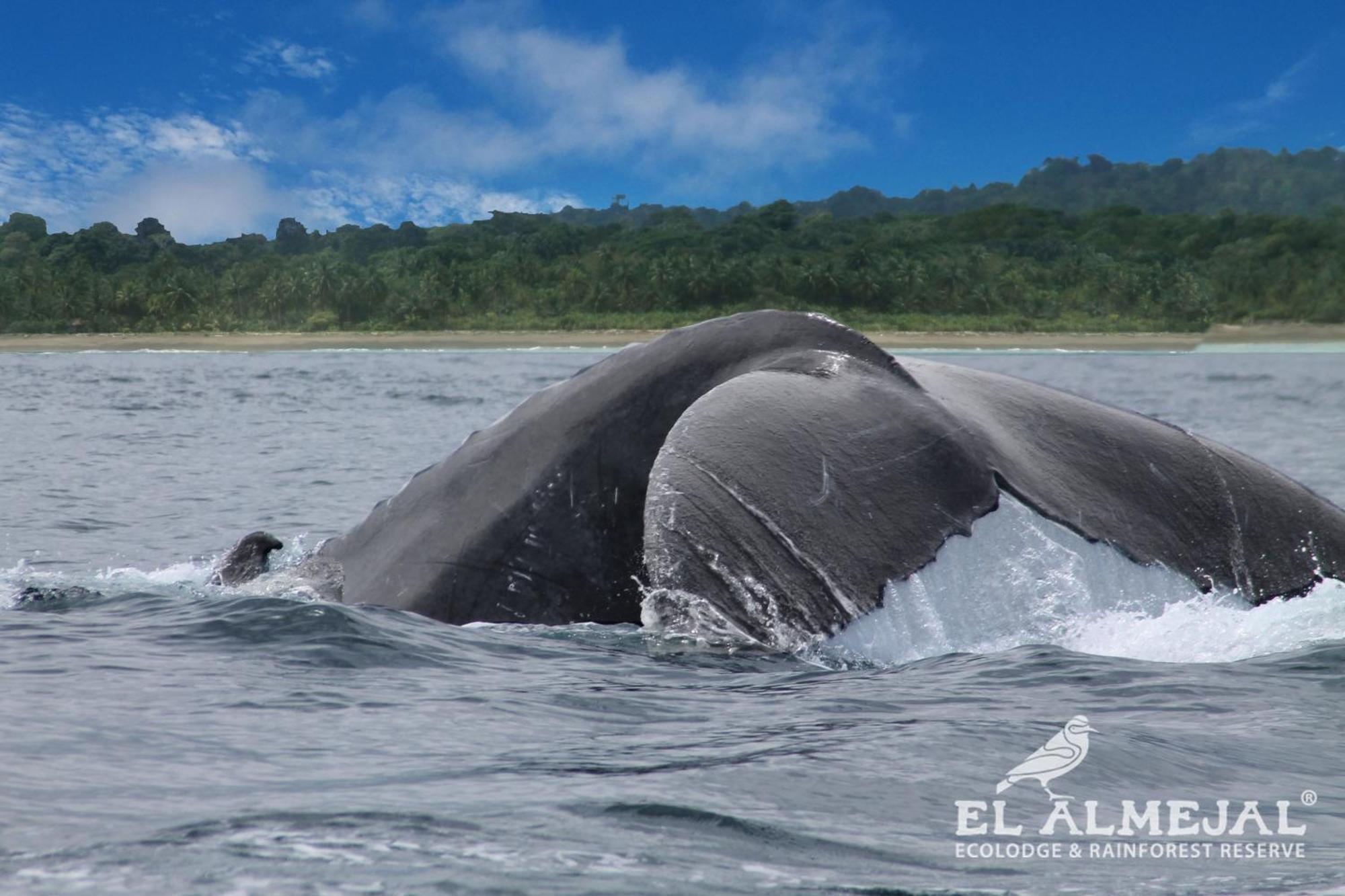 El Valle El Almejalヴィラ エクステリア 写真